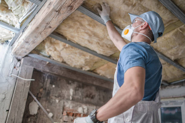 Best Residential Insulation in St Matthews, SC
