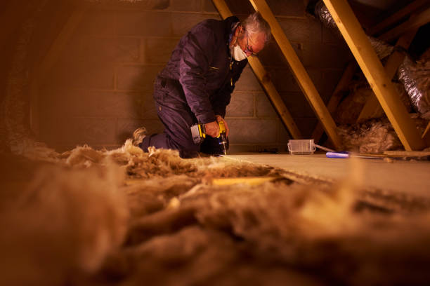 Best Insulation Maintenance and Repair in St Matthews, SC